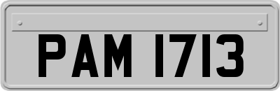 PAM1713