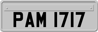 PAM1717