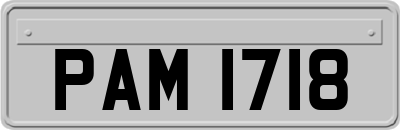 PAM1718