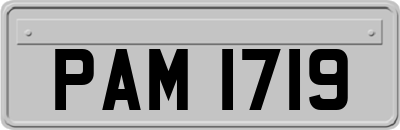 PAM1719