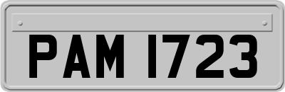 PAM1723