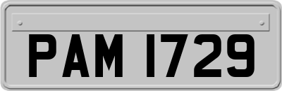 PAM1729