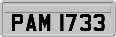 PAM1733