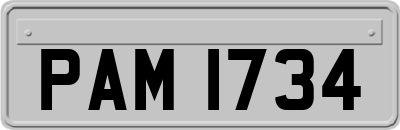 PAM1734
