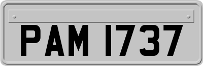 PAM1737