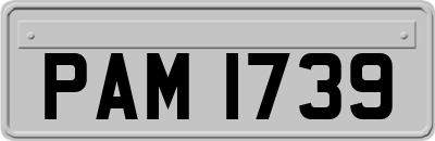 PAM1739