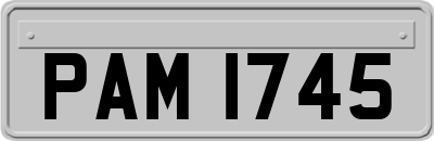 PAM1745