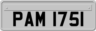 PAM1751