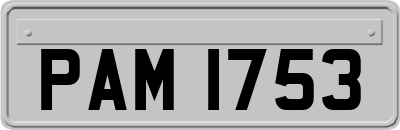 PAM1753