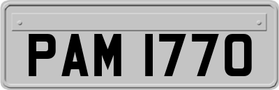 PAM1770