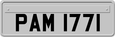 PAM1771