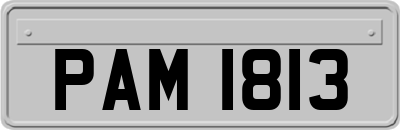 PAM1813