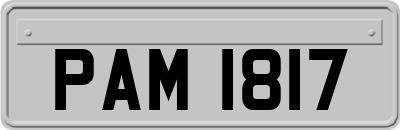 PAM1817
