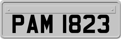 PAM1823