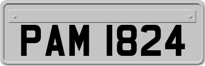 PAM1824