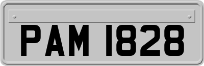 PAM1828