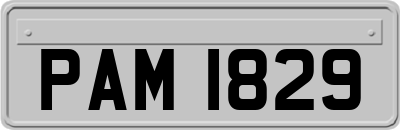 PAM1829