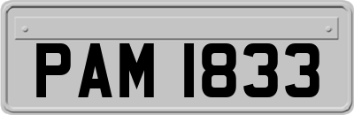 PAM1833