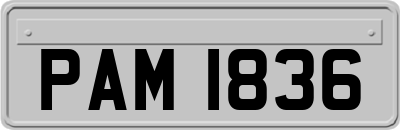 PAM1836