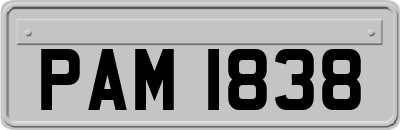 PAM1838