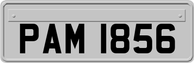 PAM1856