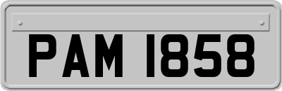PAM1858