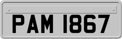 PAM1867