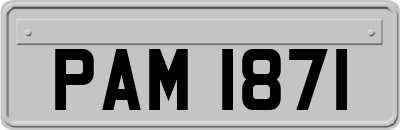 PAM1871