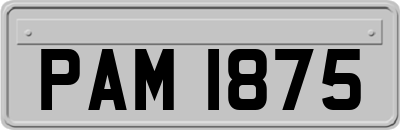 PAM1875