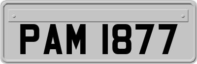 PAM1877