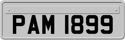 PAM1899