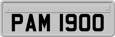 PAM1900