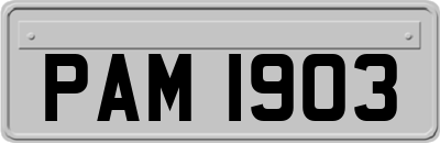 PAM1903