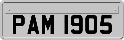 PAM1905