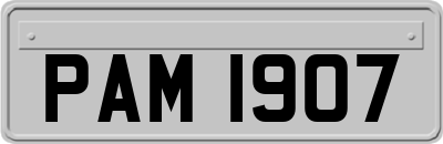 PAM1907