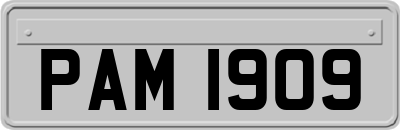 PAM1909