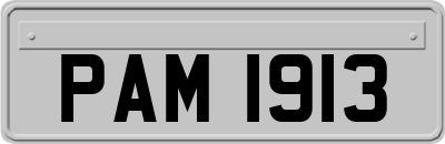 PAM1913
