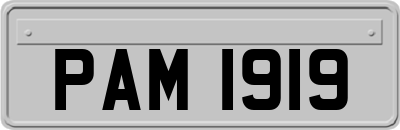 PAM1919