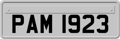PAM1923