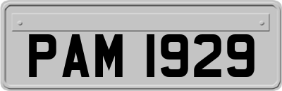 PAM1929