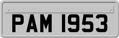 PAM1953