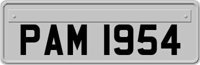 PAM1954