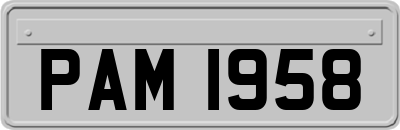 PAM1958
