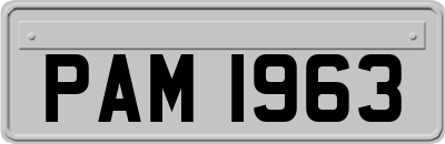 PAM1963