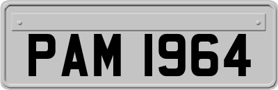 PAM1964