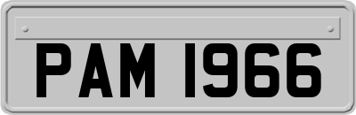 PAM1966