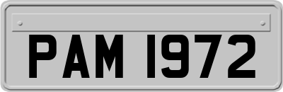 PAM1972