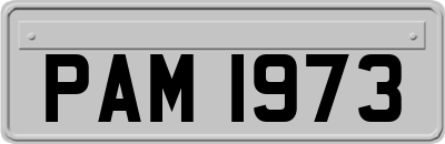 PAM1973