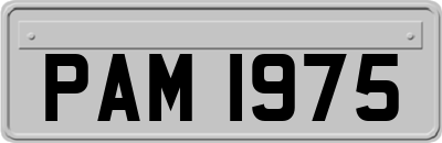 PAM1975