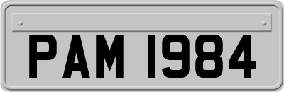 PAM1984